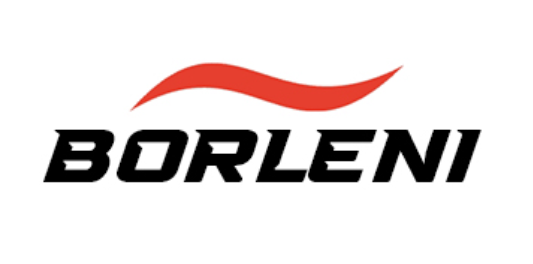 Logo Borleni